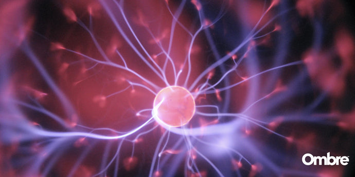 A Quick Guide To 10 Fascinating Neurological Disorders!
